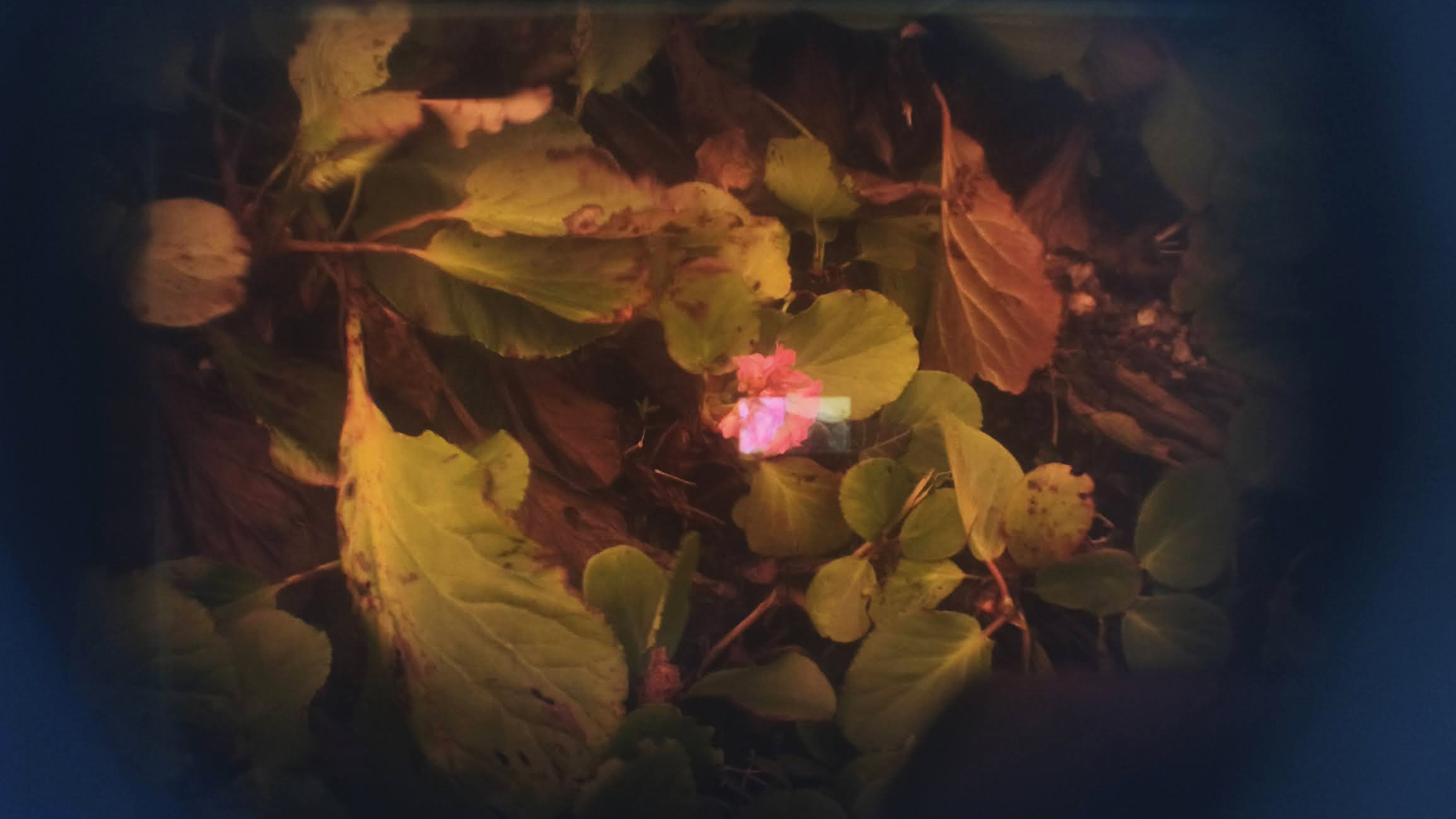 Leica M2 Kapton Tape