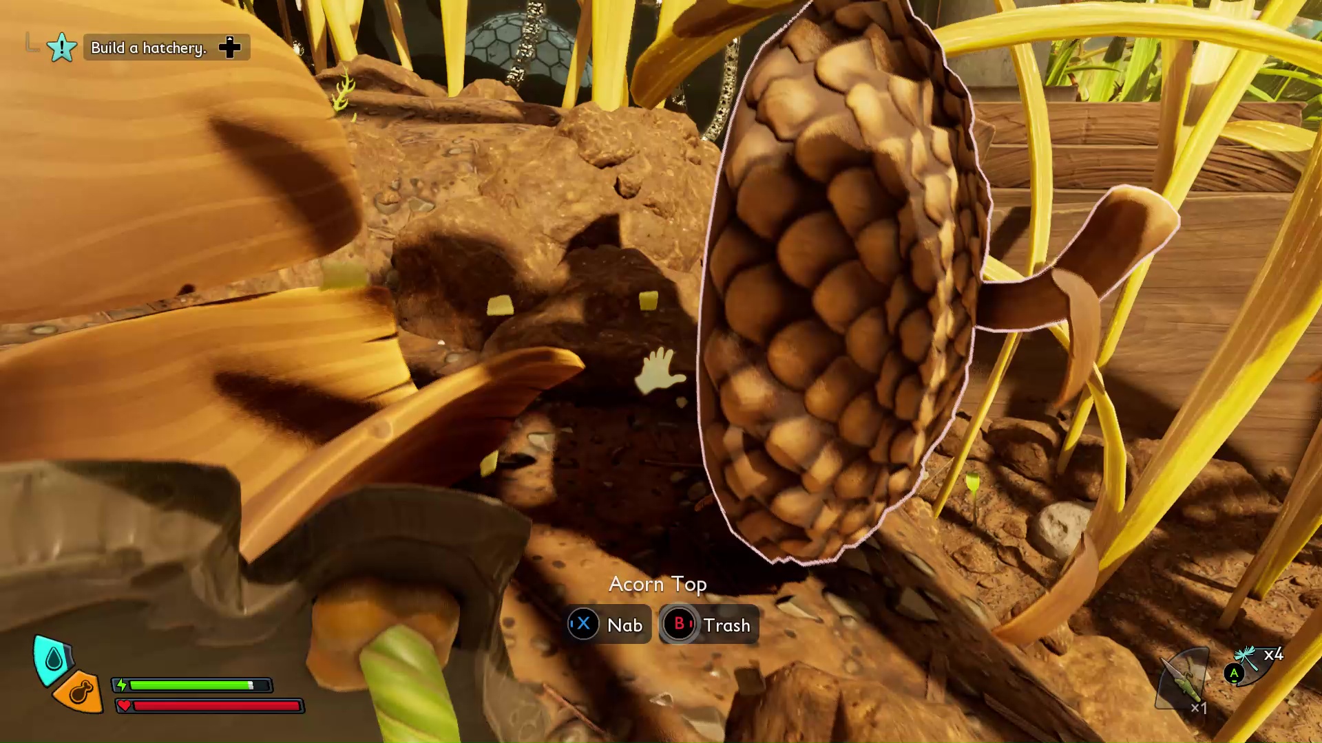 A broken Acorn in Grounded 2, leaving behind an Acorn Top and Shell