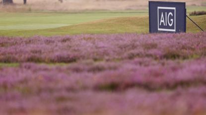 The heather at Walton Heath