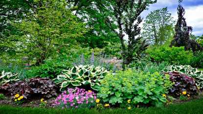 Create a foliage border for an eye catching yard
