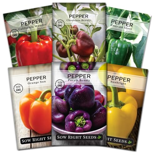 Sow Right Seeds - Sweet Bell Pepper Seed Collection for Planting a Home Garden - Cal Wonder, Emerald Giant, Orange Sun, Purple Beauty, Sunbright, Chocolate Beauty - Non-Gmo Heirloom Variety Pack
