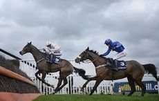 Cue-Card.jpg