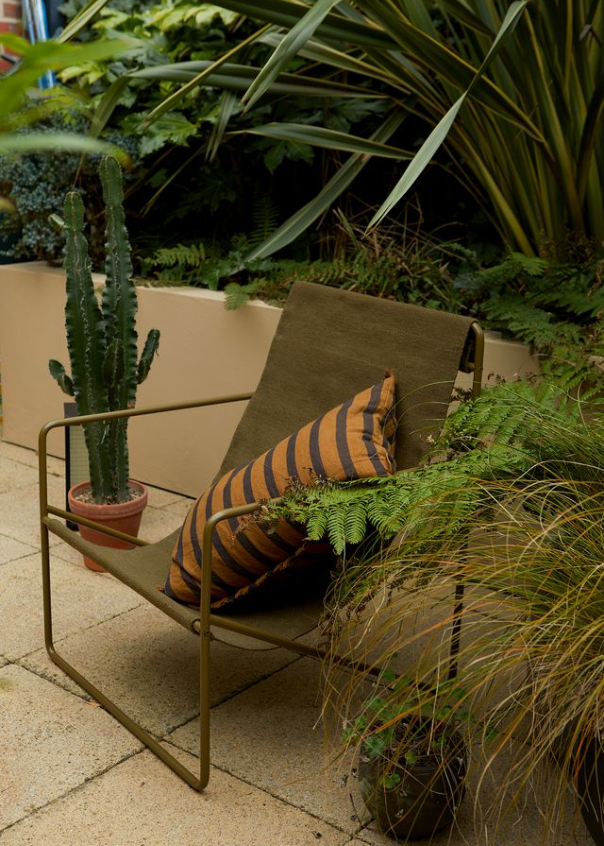 A metal chair with fabric seating and a striped pillow near a potted cactus, fern and mini plant