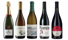 Chrsitmas wines under &pound;20