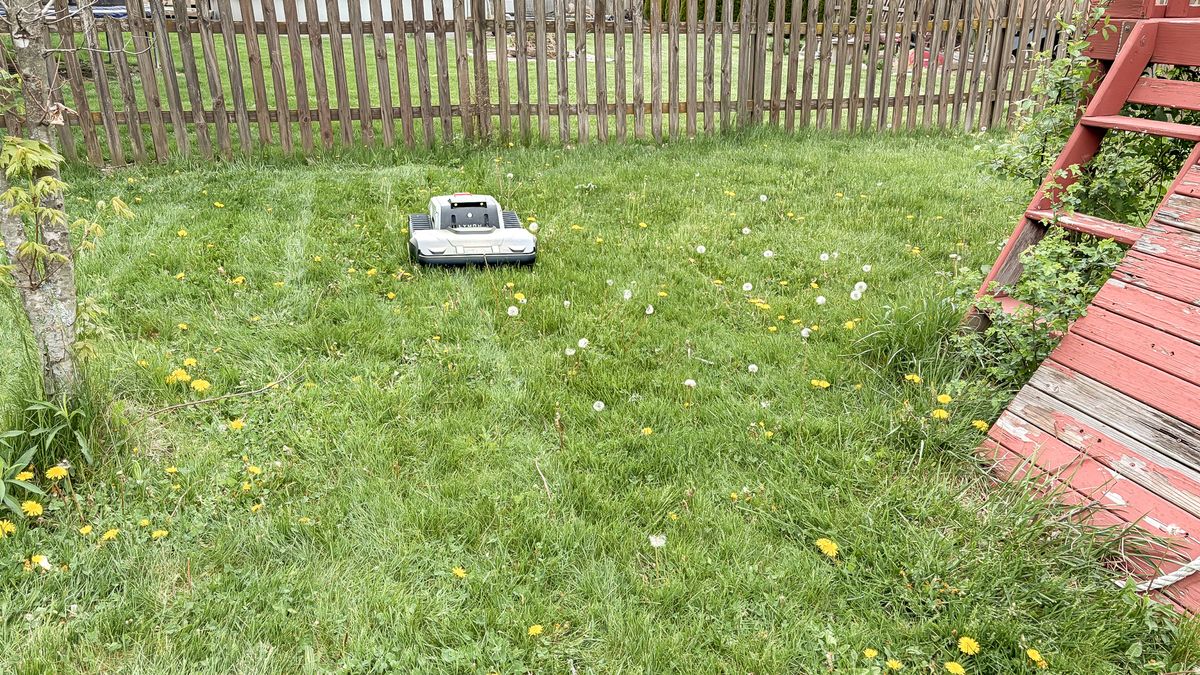 Lymow One Plus robot mower on a lawn