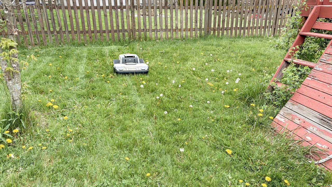 Lymow One Plus robot mower on a lawn