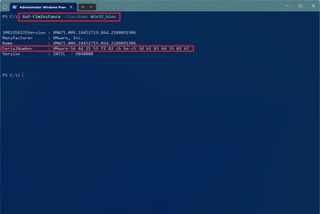 PowerShell check PC serial number