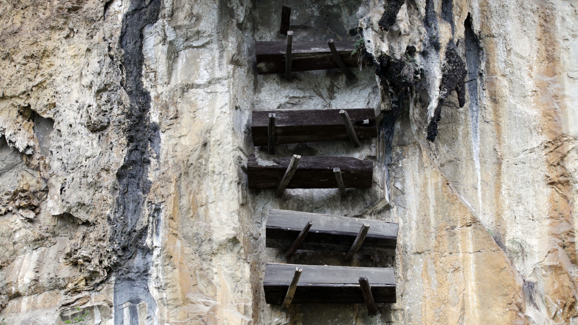 Hanging coffins on a cliffside in Sichuan