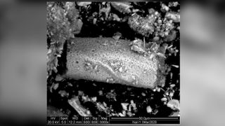 Electron microscopy has revealed fragments of bone on the nails, but it's not known how they got there; they may have come from the tomb.