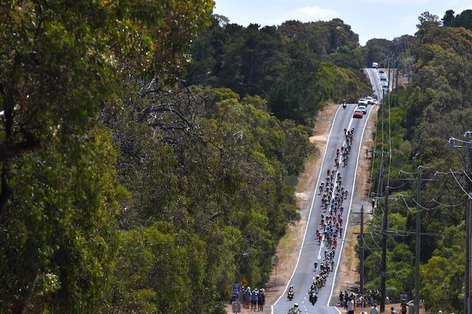 Rolling roads greeted the riders in the early stages of the 2019 Cadel Evans Great Ocean Road Race