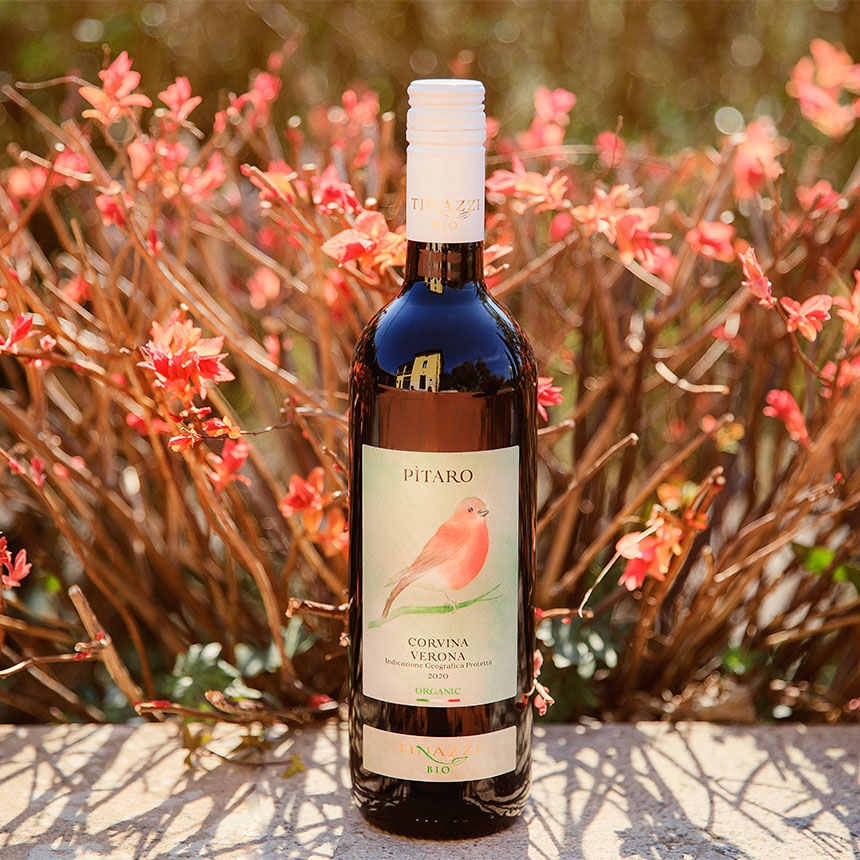 Pitaro Corvina Verona