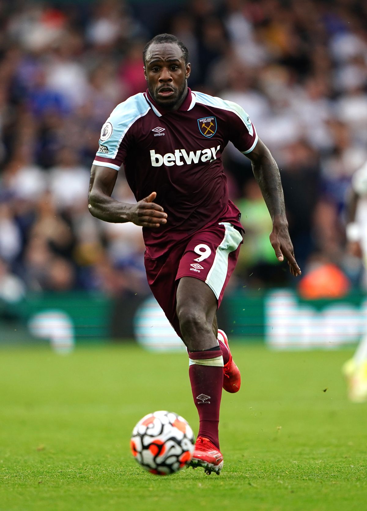 Michail Antonio File Photo