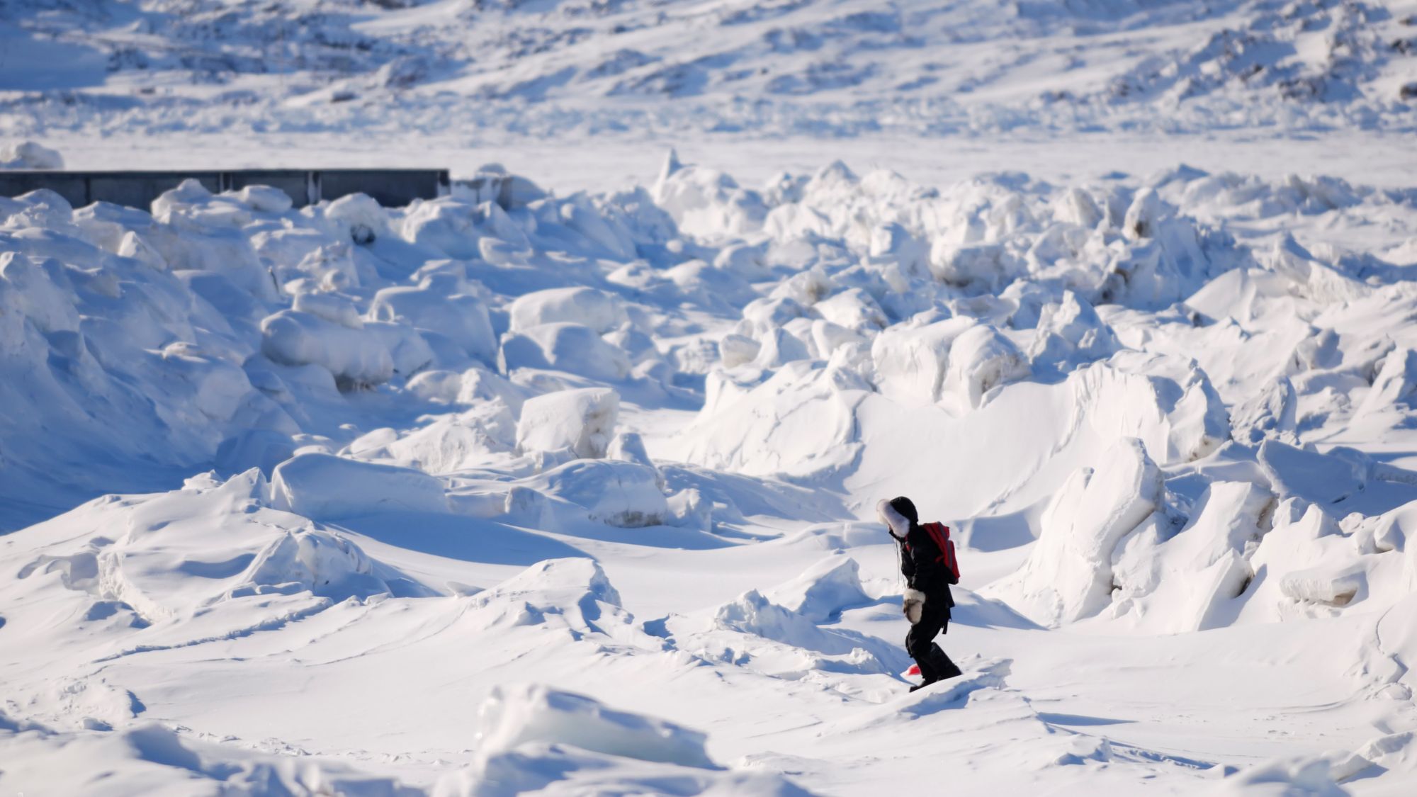  Baffin Island: looking for narwhal in Arctic Canada 