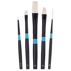 Best paintbrushes for oils Set of Princeton Aspen brushes