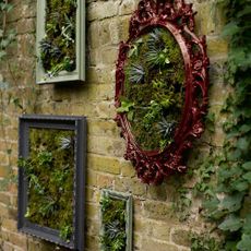 brick wall with designed frames and plant