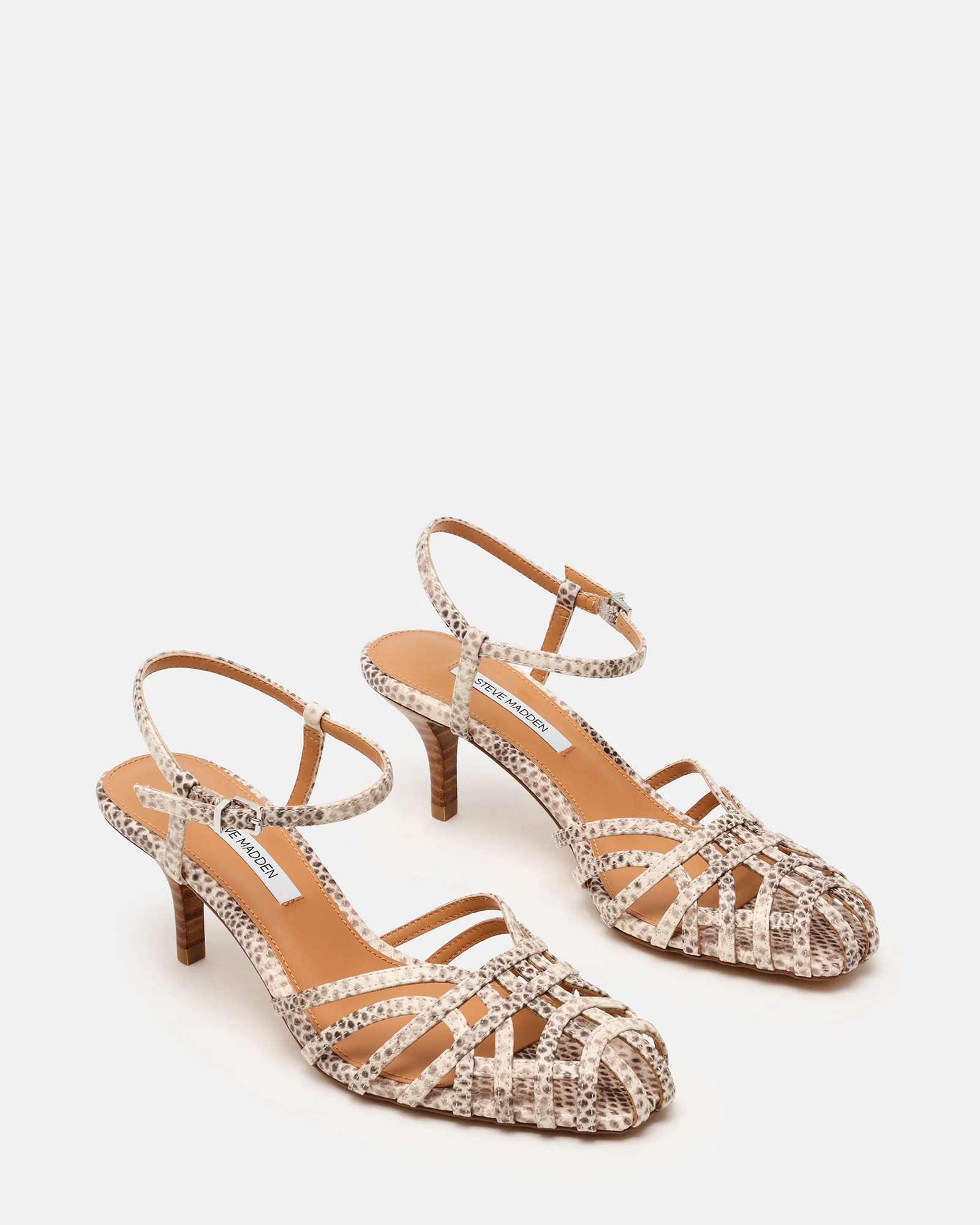 Steve Madden, Edin Snake