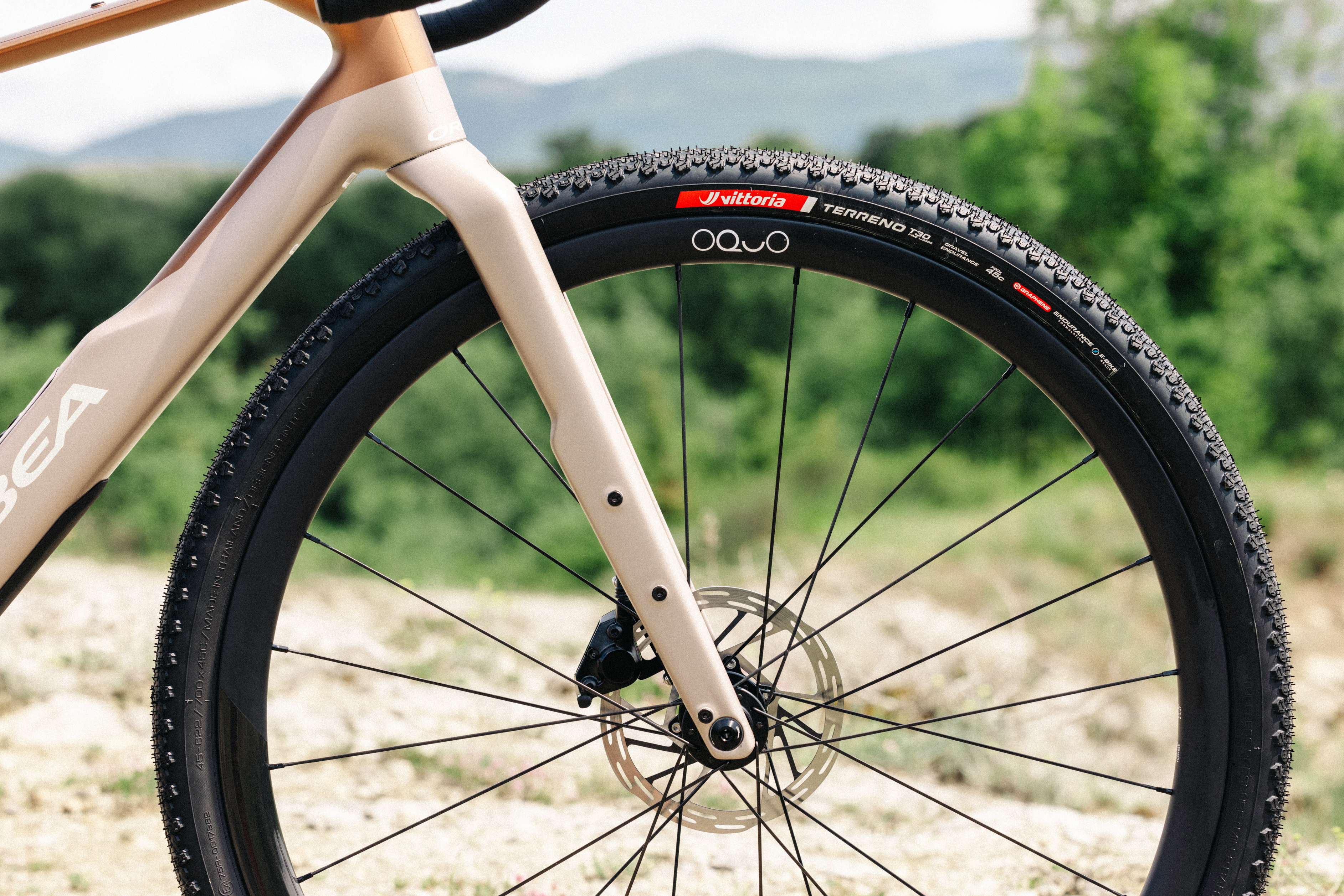 Orbea Terra fork mount details