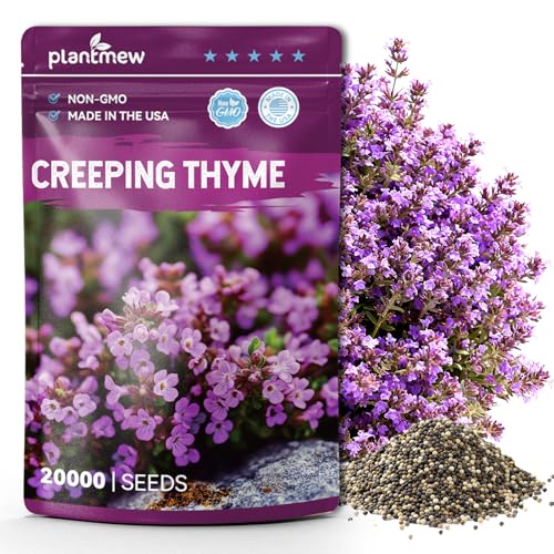 20000+ Creeping Thyme Seeds for Planting, Non-Gmo Ground Cover Seeds, Fragrant Lawn Alternative for Garden, Paths &amp;amp; Landscaping (10g / 0.35 Oz)