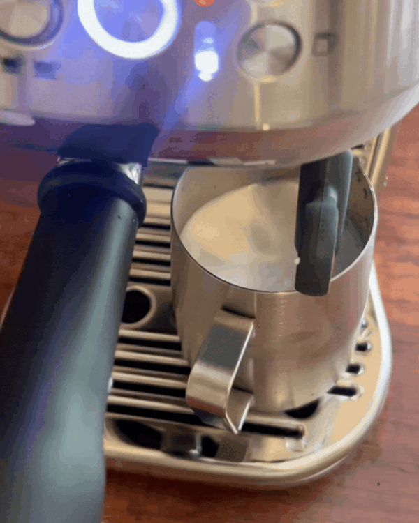 GIF of milk in a milk jug being frothed by a Sage Bambino Plus coffee machine.