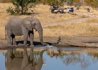 Eagle Eye Safaris group tours for solo travellers