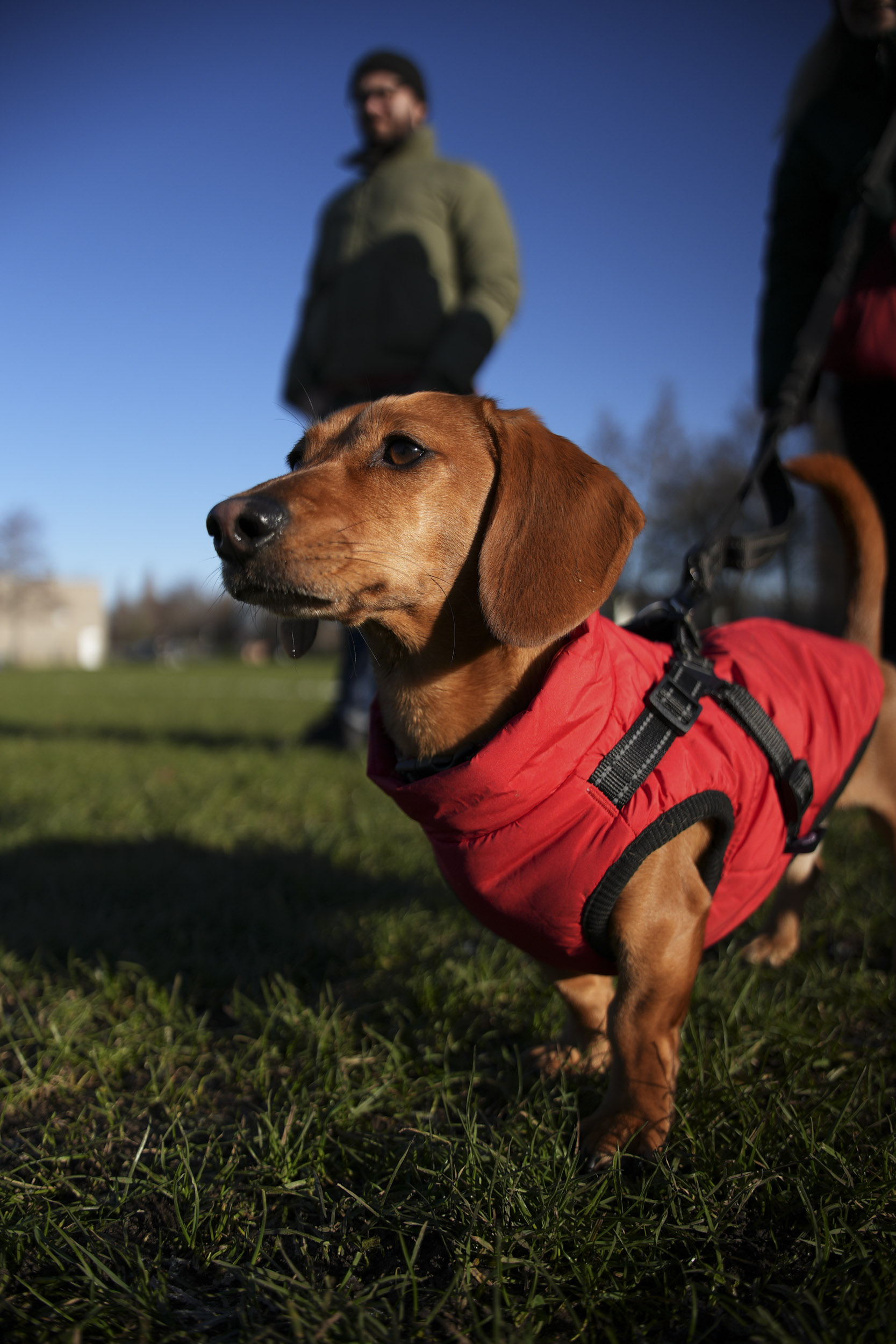 A test shot taken with the Sigma 17-40mm f1.8 DC Art lens to show blurry backgrounds when shooting at its wide f/1.8 aperture