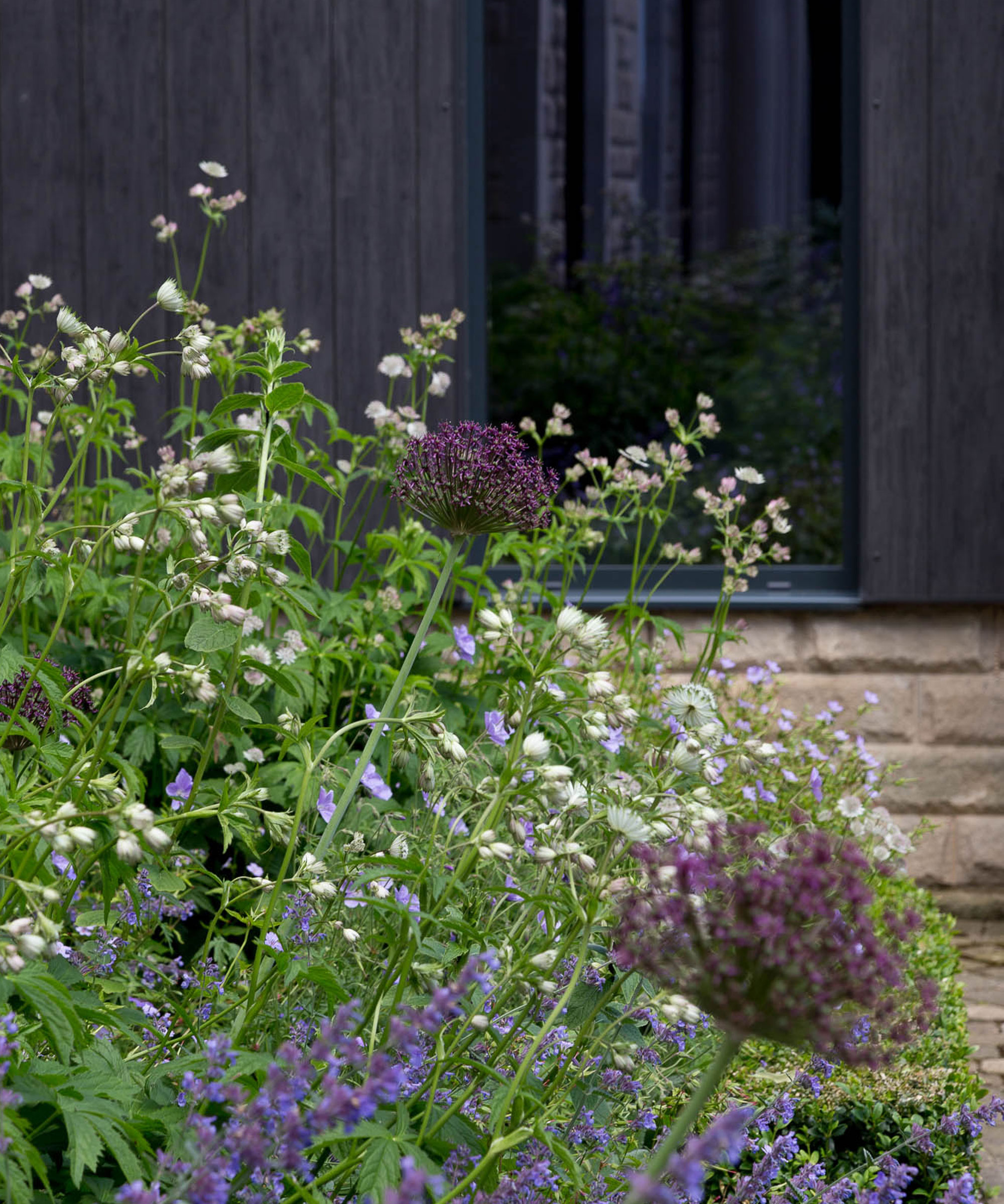 purple and white planting with black cladding and low brick wall