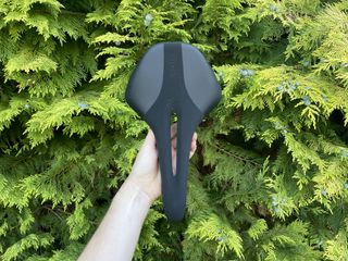 Fizik Luce Carbon saddle held up in front of a conifer tree