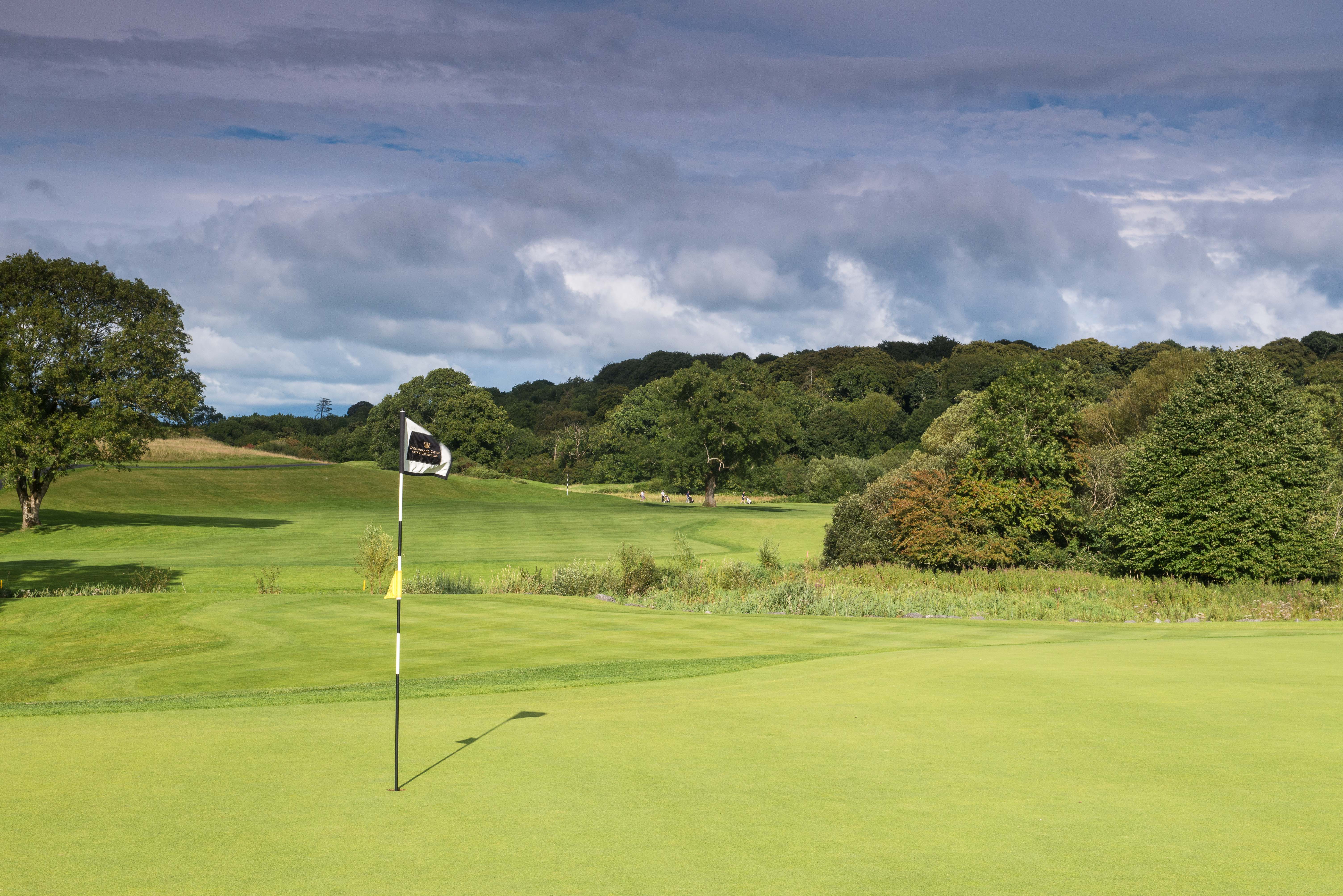Looking back up the 16th hole at Dromoland Castle