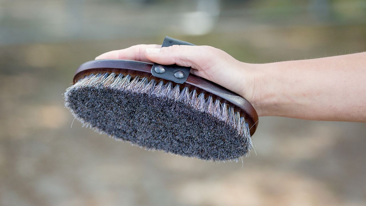 HyShine Deluxe horse hair wooden body brush review