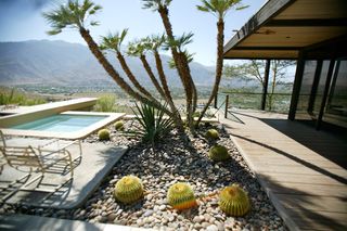 Garden view of pool, sun lounger and cacti