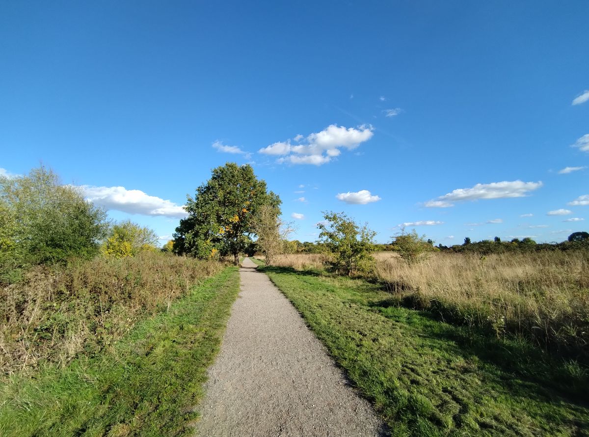 A Motorola Edge 30 Neo camera sample