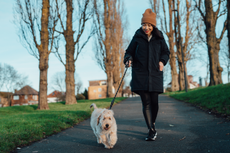 woman walking her dog during tighter lockdown restrictions in the UK