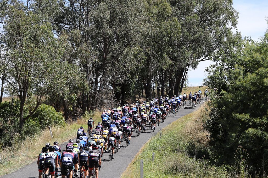 The peloton rolls along