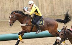 Horseball2.jpg