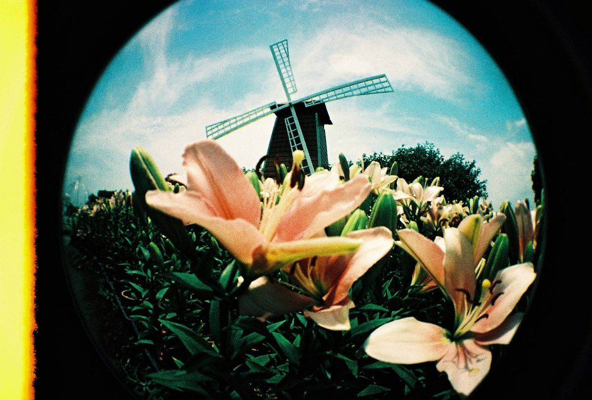 Lomography fisheye no.2