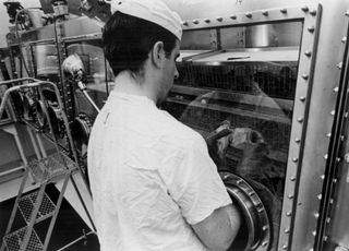 A lab technician studies a Japanese quail that was exposed to lunar samples collected by the Apollo 11 mission.