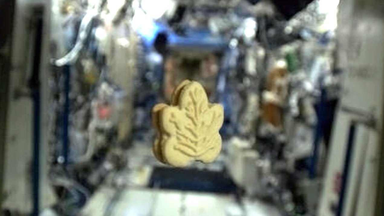 Artemis 2 moon astronauts will enjoy maple cream cookies and smoked salmon thanks to Canada Space