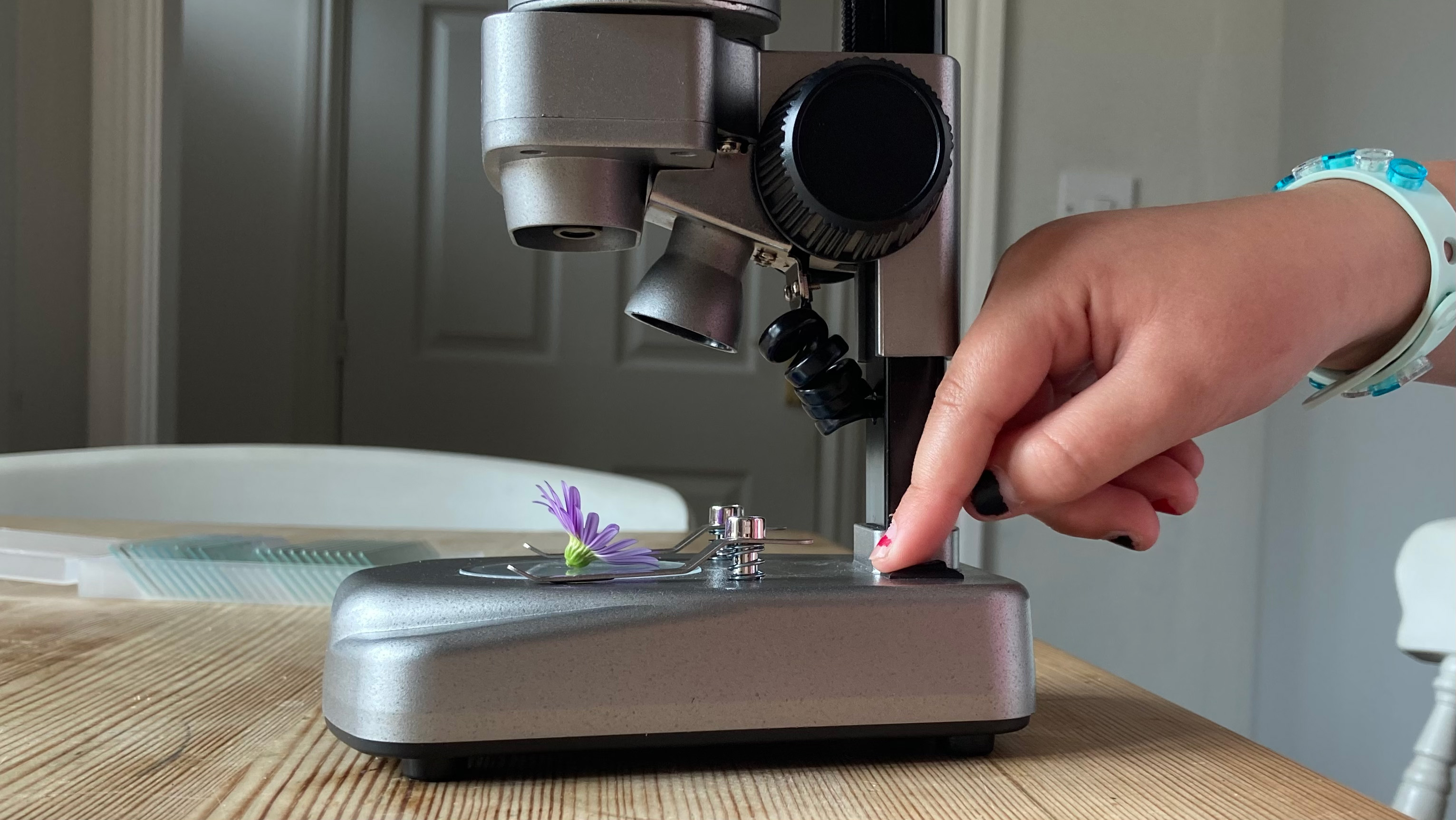 A child using the National Geographic Ultimate Dual Stereo Microscope