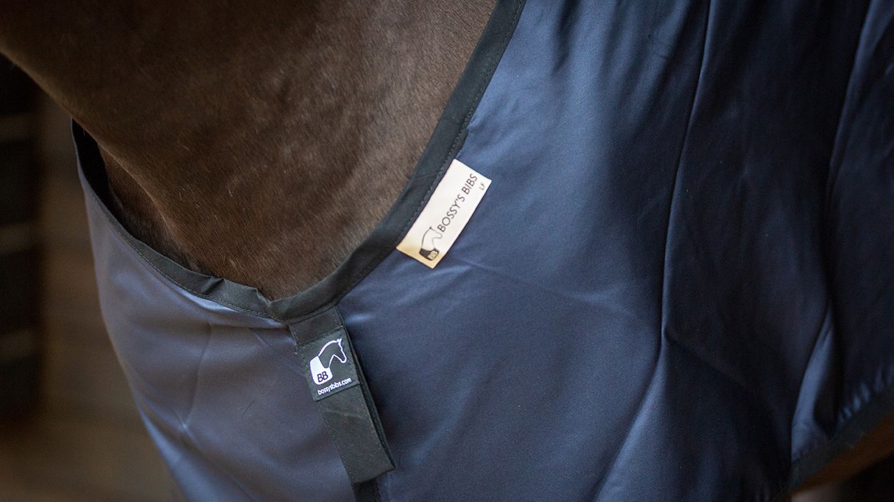 Bossy&rsquo;s Bib review