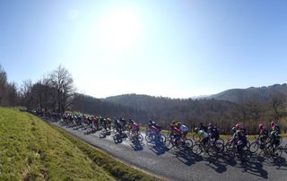 The peloton on stage four of the 2015 Paris-Nice