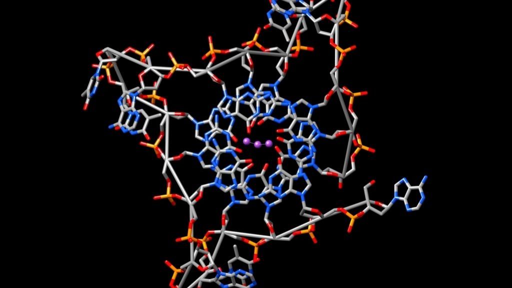 an illustration of a G-Quadruplex, a type of weird knot DNA can fold itself into