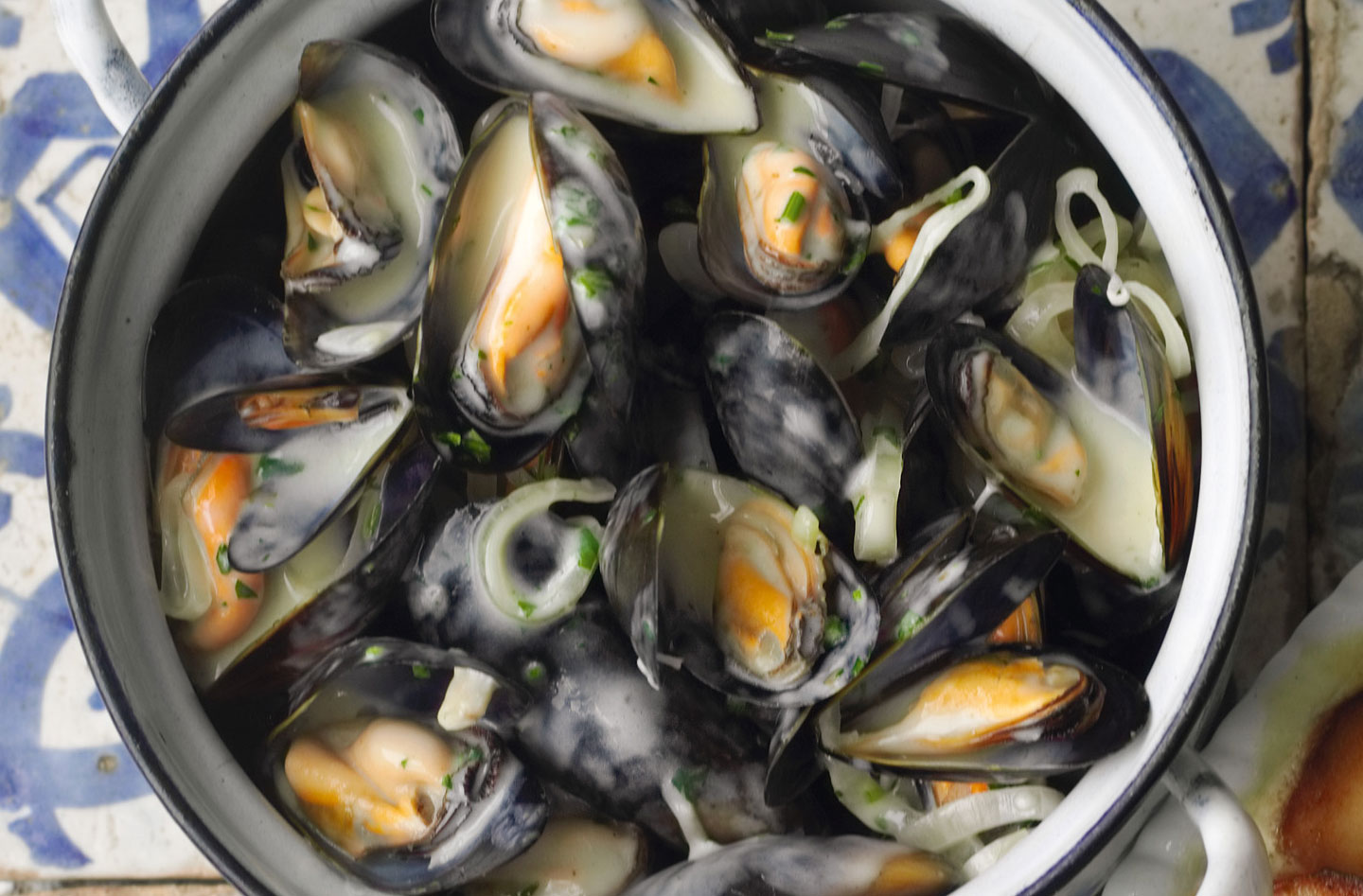 mussels fish