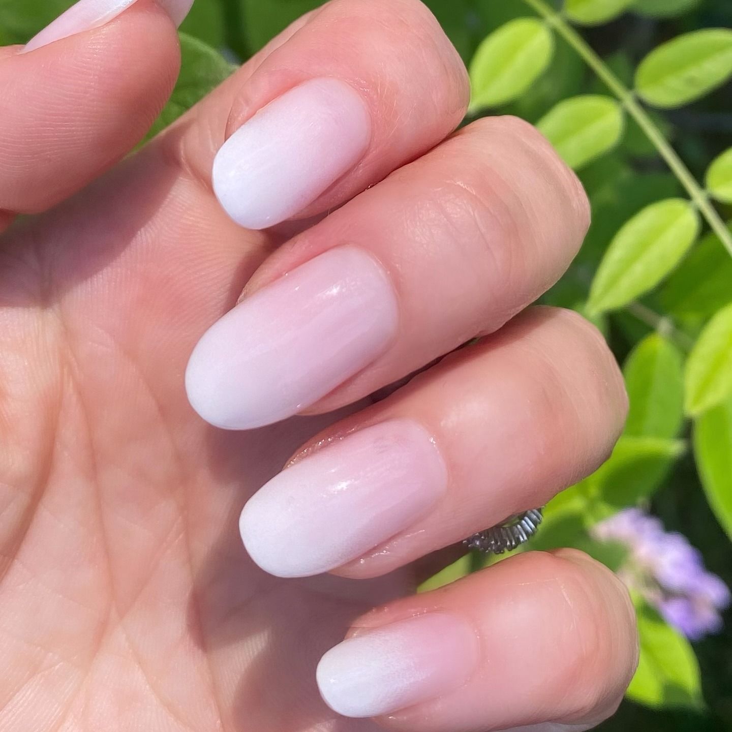 Ombr&eacute; French manicure