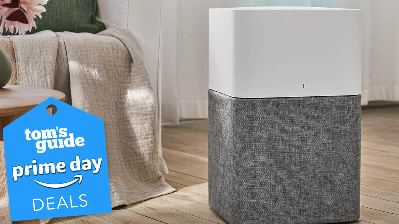 BlueAir Air Purifier in living room