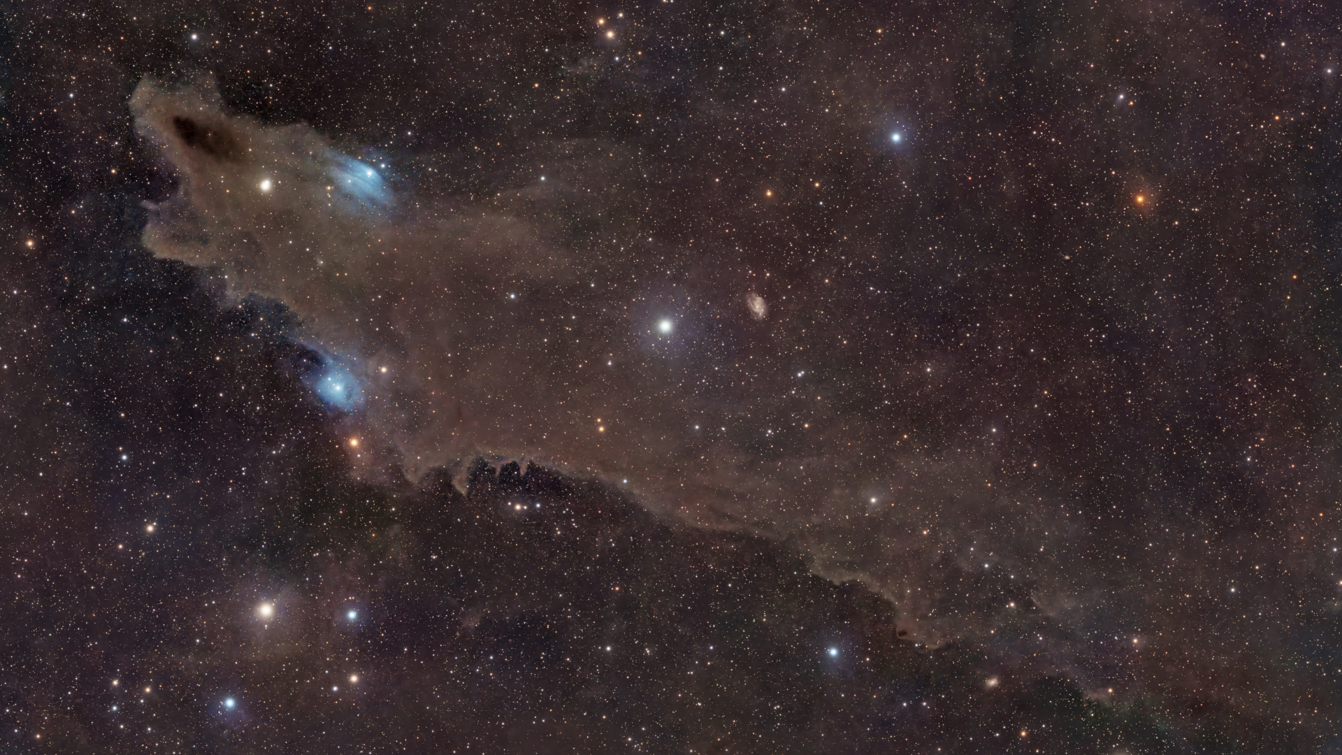 A huge cloud of dark brown gas is pictured hanging against a colourful starfield. The left section of the cloud takes the form of a gaping shark's may as seen from the side, with a bright star forming its eye, while the remainder forms the body to the right of the image with a suggestion of dorsal and pectoral fins.