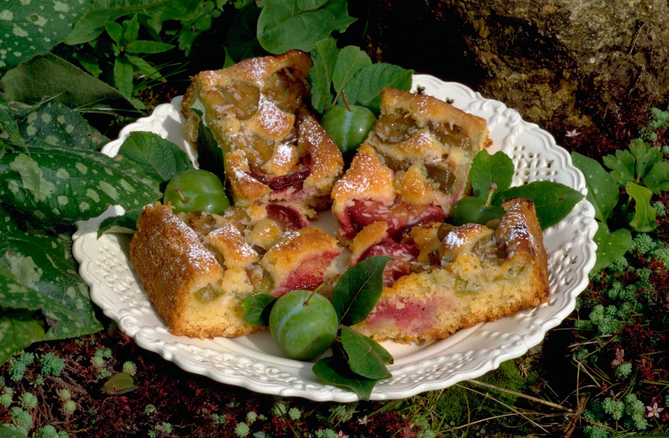 Plum and coconut cake | Baking Recipes | GoodtoKnow