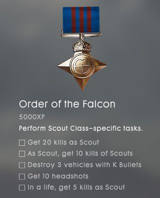 A medal focusing on the scout class.