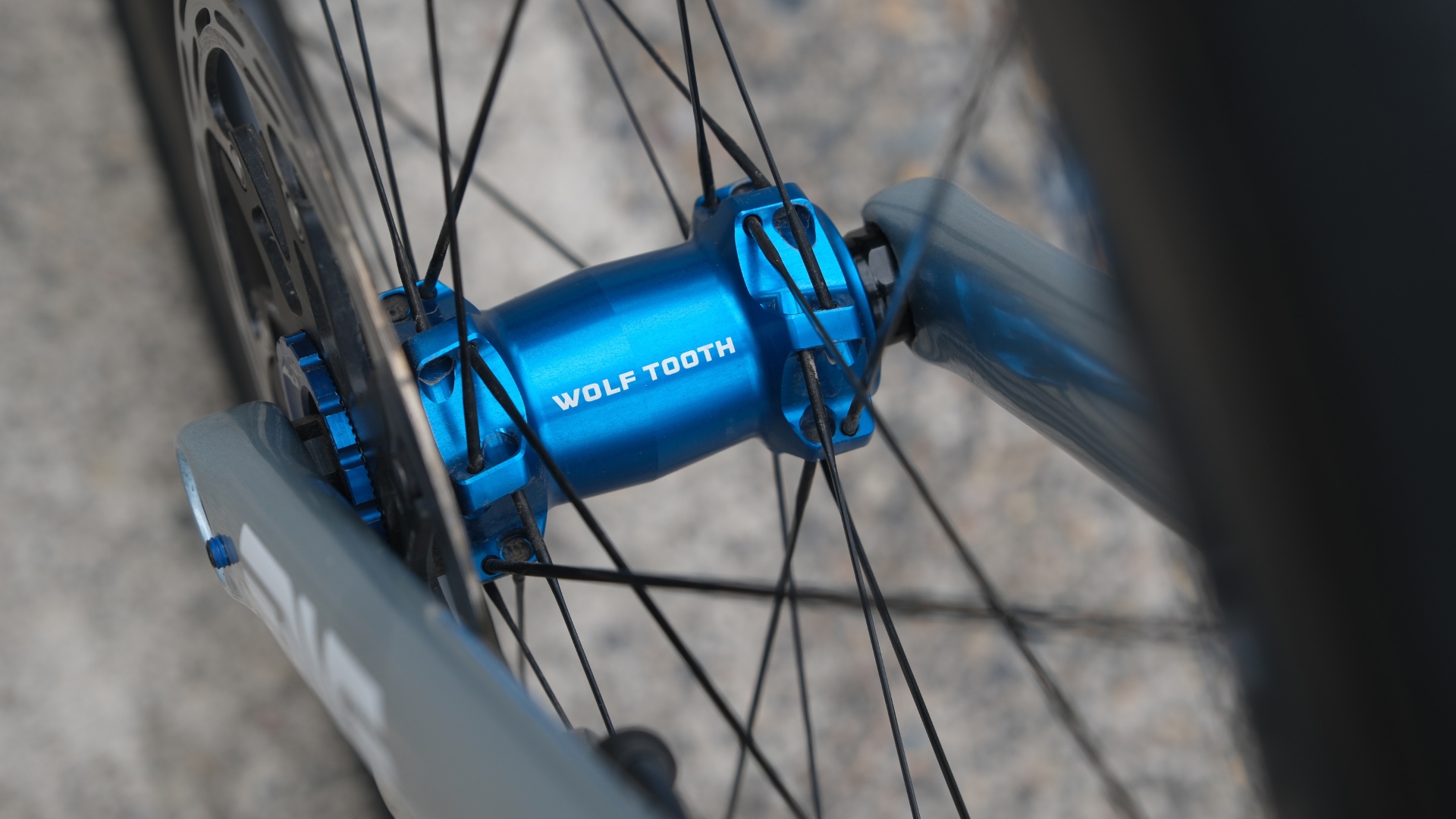 Wolf Tooth Hub