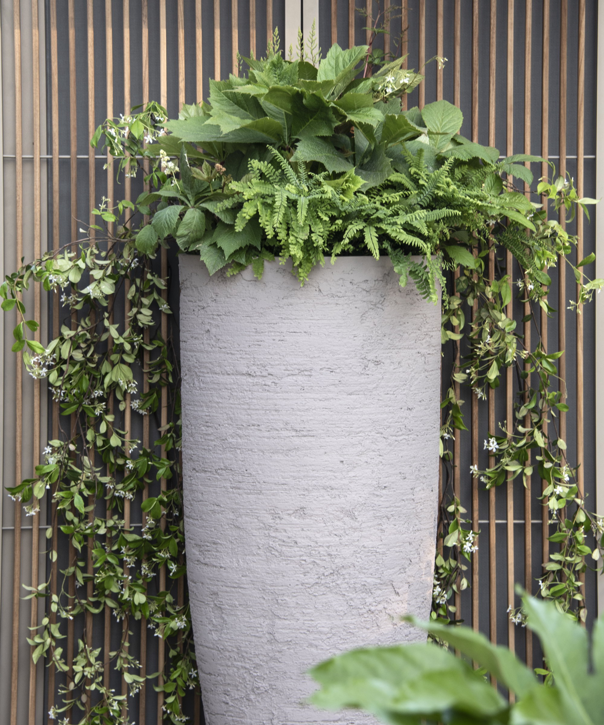Ferns and other foliage plants growing in a tall ceramic planter