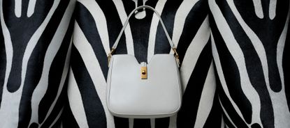 The One: Celine Camille bag